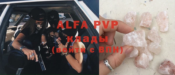 МДПВ Инсар