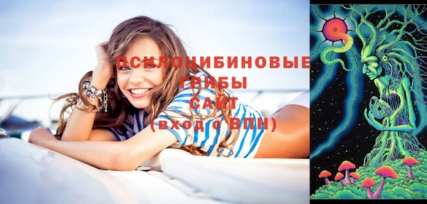 соль курить ск Белокуриха