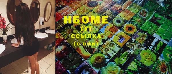 индика Иннополис