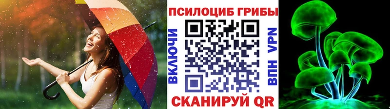 Псилоцибиновые грибы Cubensis  Павловск 